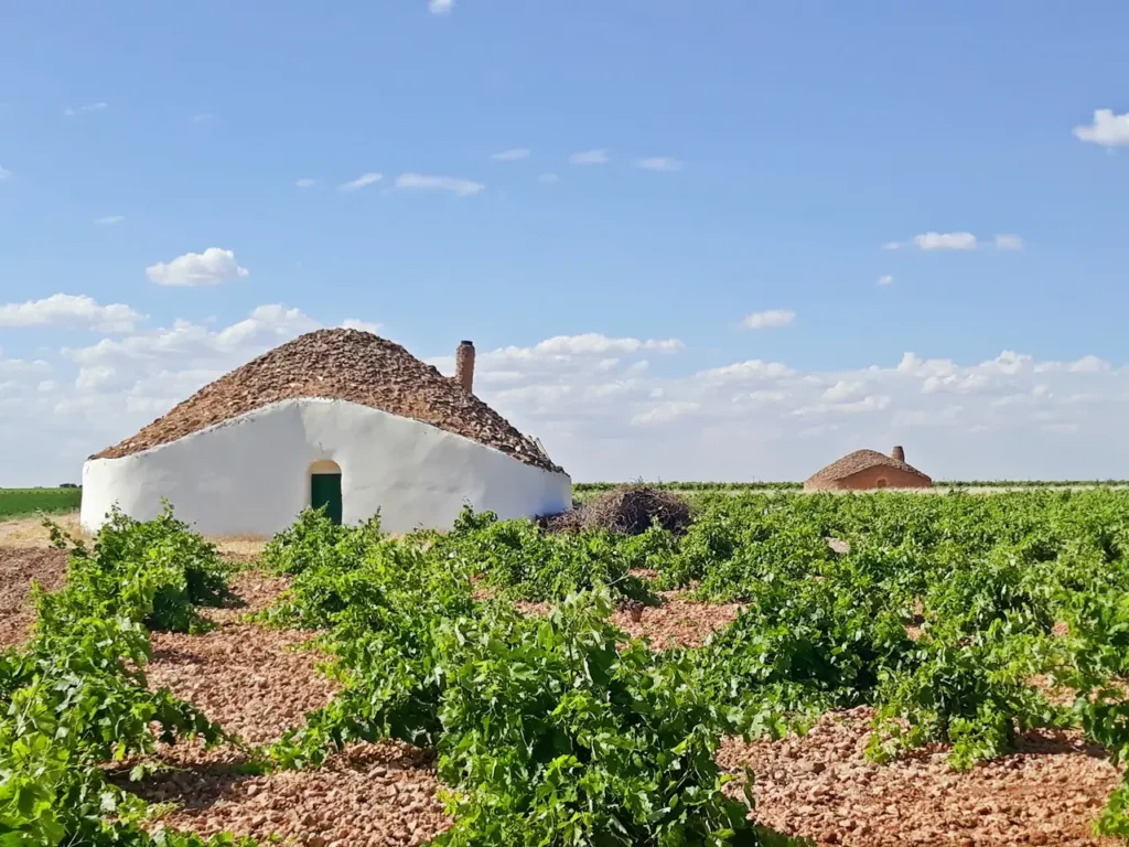Viñedo de Tomelloso